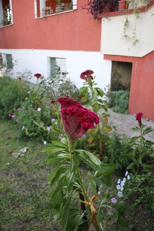 Alvanita Apartments ウルツィニ エクステリア 写真